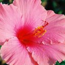 Sue Polk - @suebpolk - Twitter