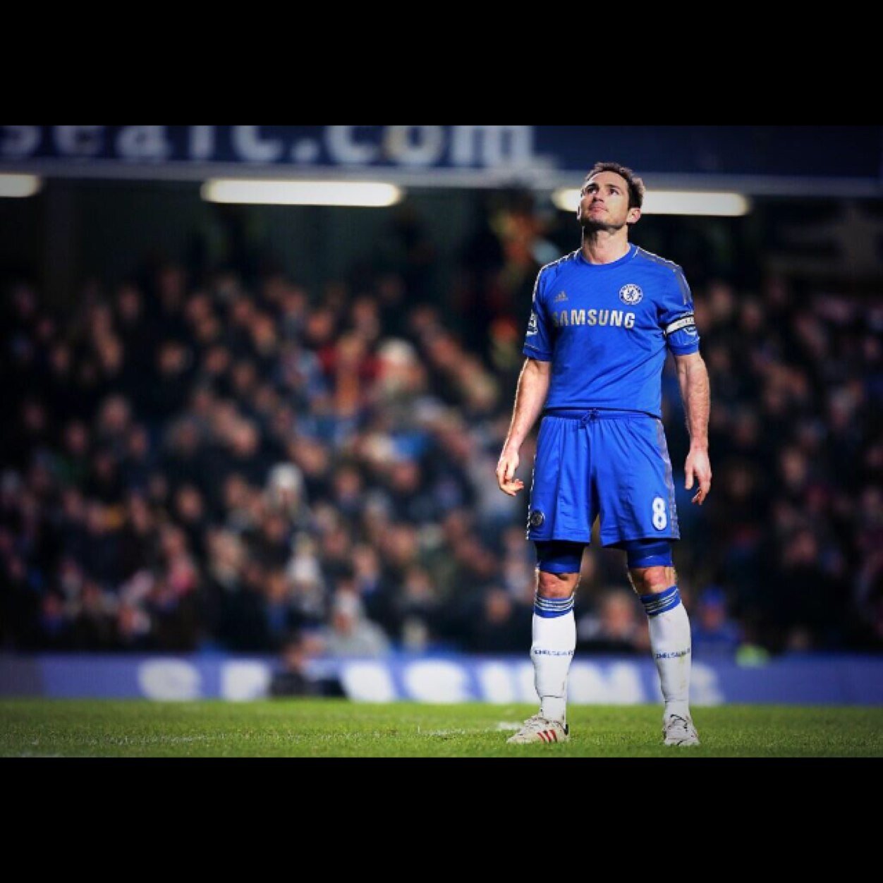 CfcHut's profile picture. All things chelsea here!