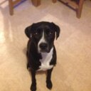 adam riva - @AdsRiva - Twitter