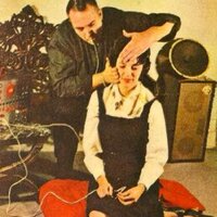 Electric Gardens (@electricgardens) 's Twitter Profile Photo