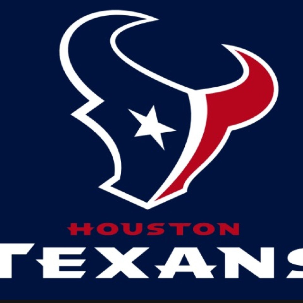 Texans for life future super bowl champs!