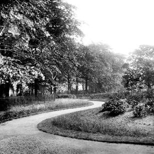 Community-led. 
Non-Profit.  
Restoring heritage buildings & grounds of Falinge Park Rochdale
Developing a Community Hub owned by local people for local people