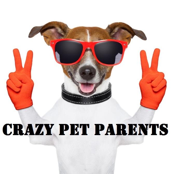 I am producing a documentary film called, ”Crazy Pet Parents”.  This will be a hilarious documentary on the good, the bad, and the ugly of Crazy Pet Parents.
