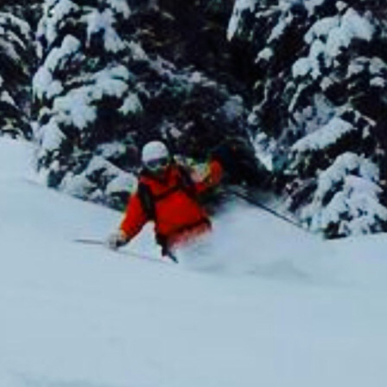 Richard Bradsby Profile