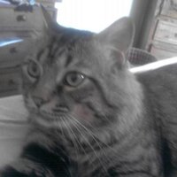 Juana María Ramírez (@juanamaria298) 's Twitter Profile