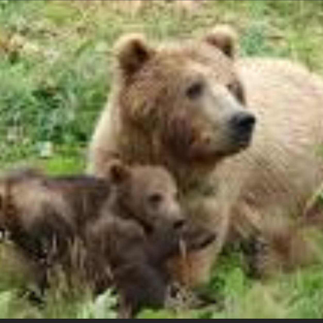 Football Fan, Wildlife lover, I'm a physiotherapist. Enjoy walking.