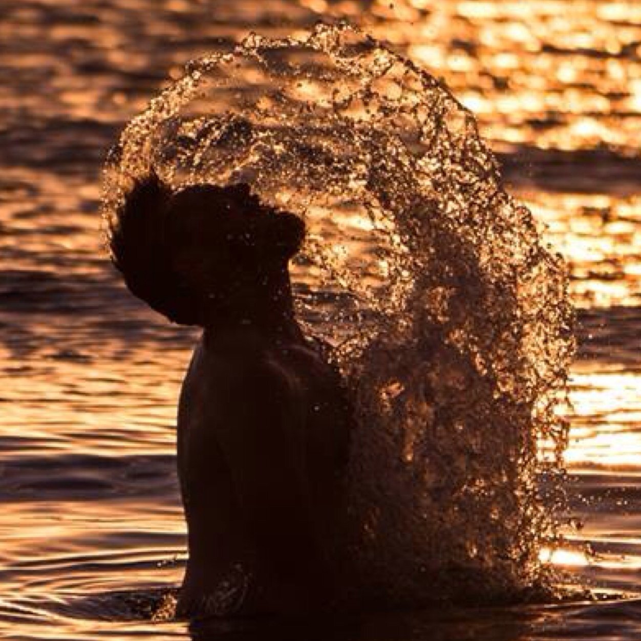 blasterforce1's profile picture. Chacun à son goût.