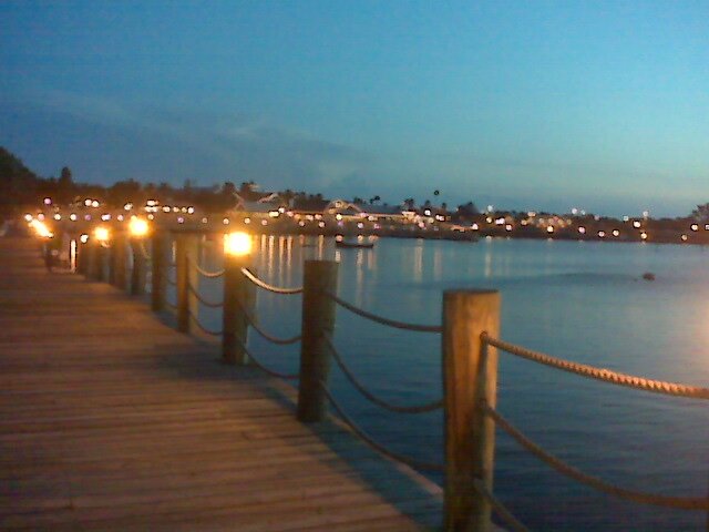 JACQB001's profile picture. I do what I love & love what l do!❤️