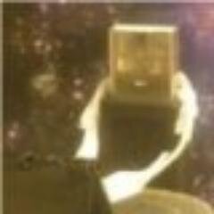 RaymondLPlante's profile picture. Astronomer-programmer specializing in data archiving and processing, with a special interests in data publishing, data discovery, and the virtual observatory.