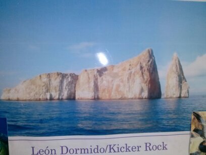 somo un agencia de turismo en sancristobal te ofrecemos DailyTour kicker rock manglesito ,cerro brujo,pto grande Tour Islas lobos Crucero por las islas