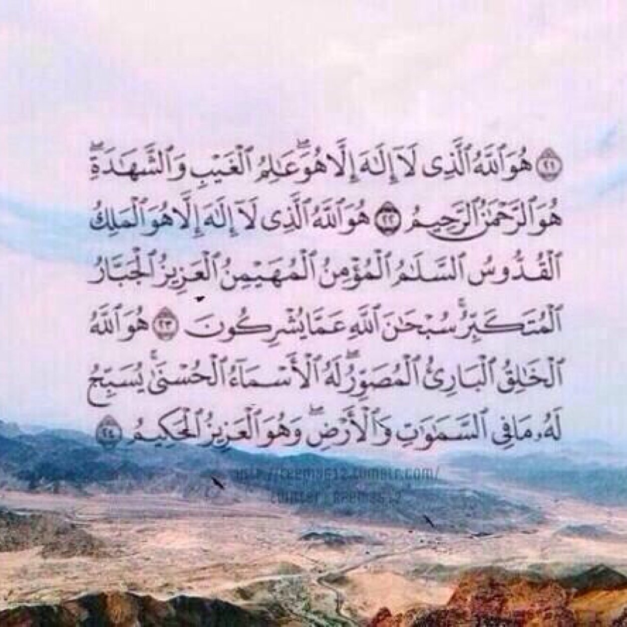 lek_aljanna's profile picture. ربنا آتنا في الدنيا حسنه و في الاخرة حسنه.