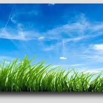 cldaytrader's profile picture. indoor air and health