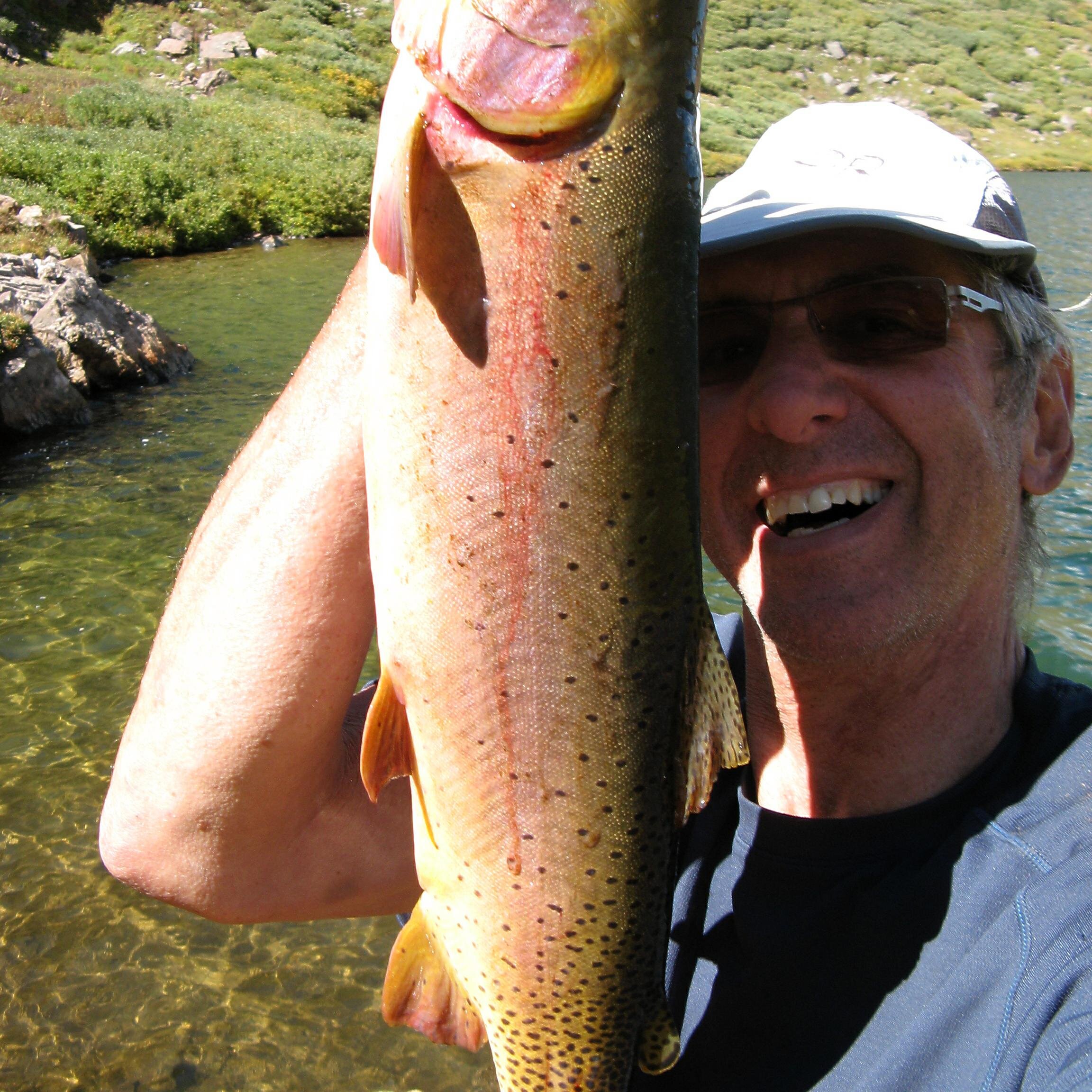 faststorage's profile picture. Born in storage, pioneer in networking, solutions zealot including software and disaster recovery expert.