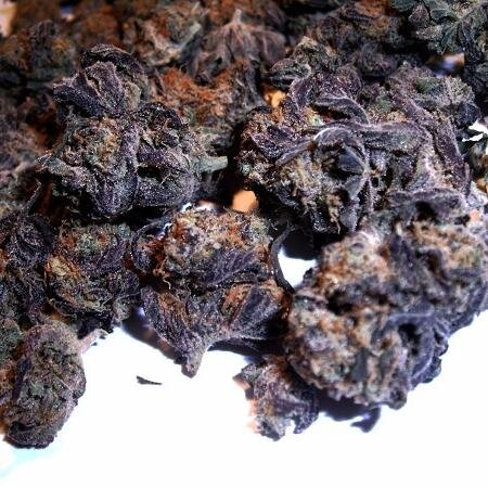 LA Based, Top Shelf MMJ Delivery service. Free Delivery! For $5 off like us on fb- http://t.co/AR6eSonVUm