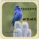 Adel Gad - @AdelAdelgad98 - Twitter