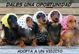 apoyodevailetre's profile picture. 