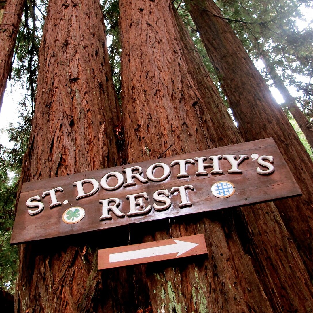 St Dorothy S Stdorothysrest Twitter