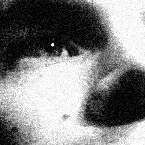 ecwyx's profile picture. 