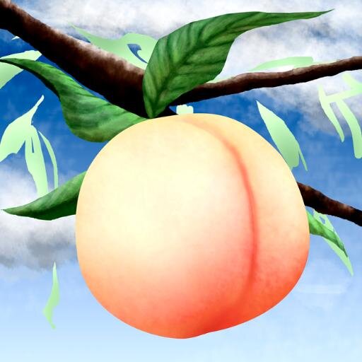 桃の実さんのプロフィール画像