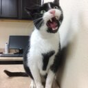 Elle Mcclain - @Bravogabbo - Twitter