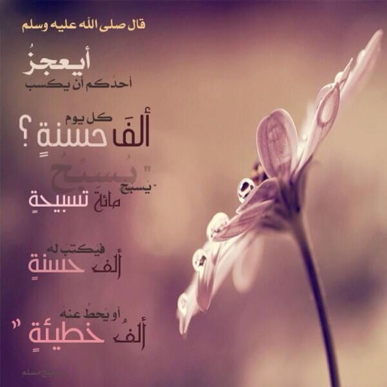 : وبعض الحُروف تُبكيك ليس وجعاً ، بل لِـ أنها تلمس شيئاً إستوطن روحك. الخرج :)