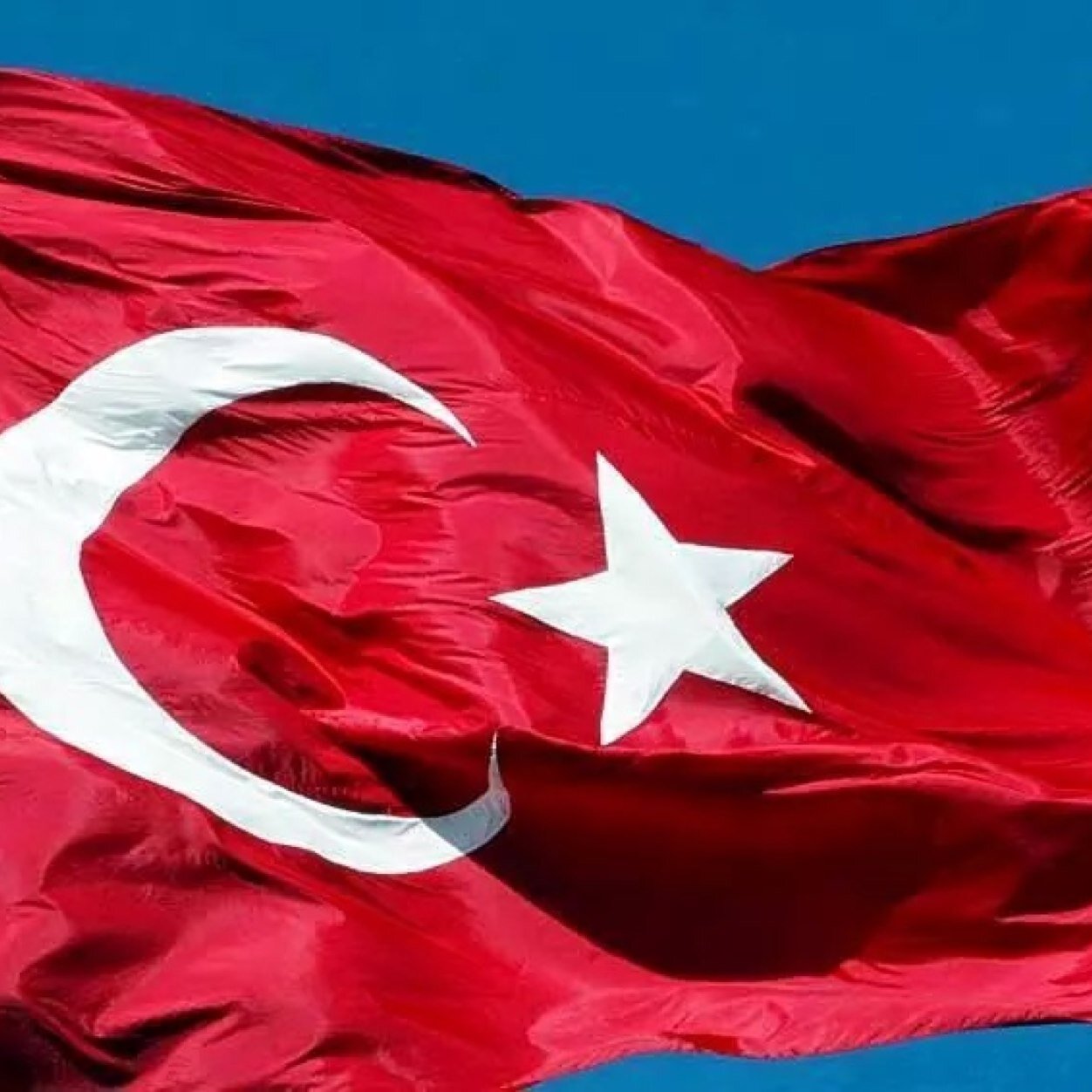 ayseyangoz's profile picture. 