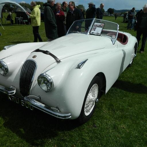 Rotary Club of Stokesley has over 30 members & runs Classics on Show on the Town Showfield in June every year. All proceeds from Show go to Rotary charities