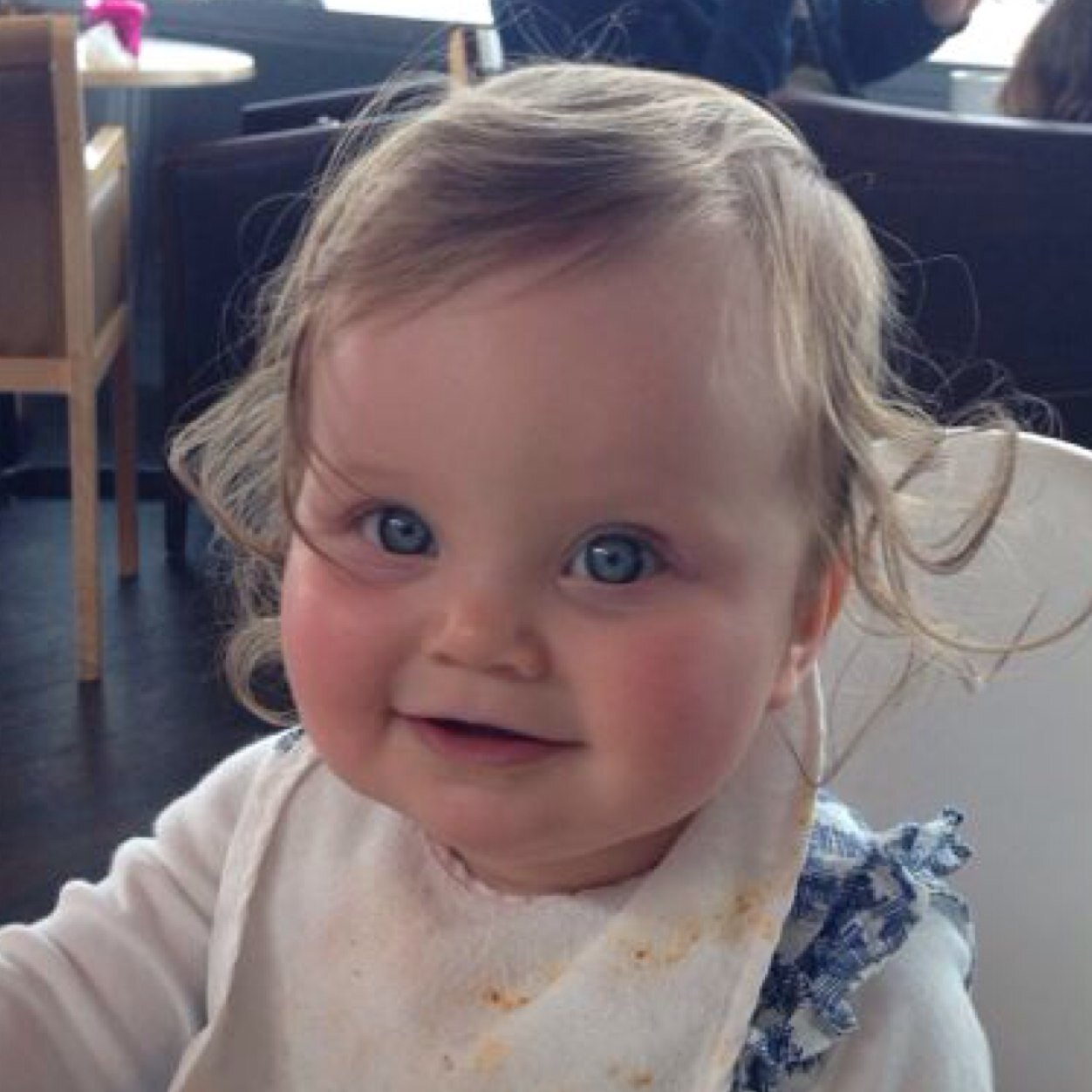 Abigail lily Clearance