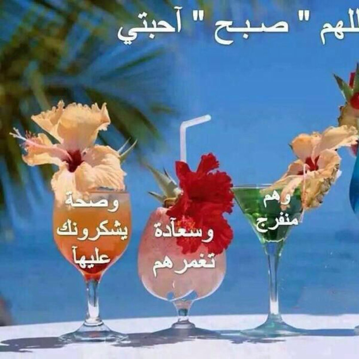 MohmedHoussieny's profile picture. ‏بحب كل الناس7a7d7fd8