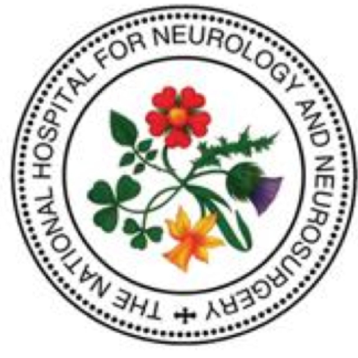 UCL Queen Square Institute of Neurology and The National Hospital for Neurology and Neurosurgery.