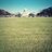 DCgreenSpace's profile image