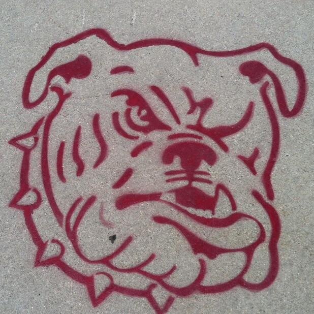 MadisonJrFB's profile picture. Youth Football grades 2-6