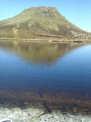 cgillies46's profile picture. I follow back♡♡