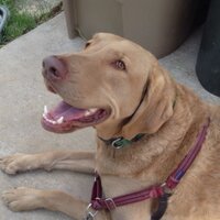 CR Thibodeaux (@crthibodeaux) 's Twitter Profile
