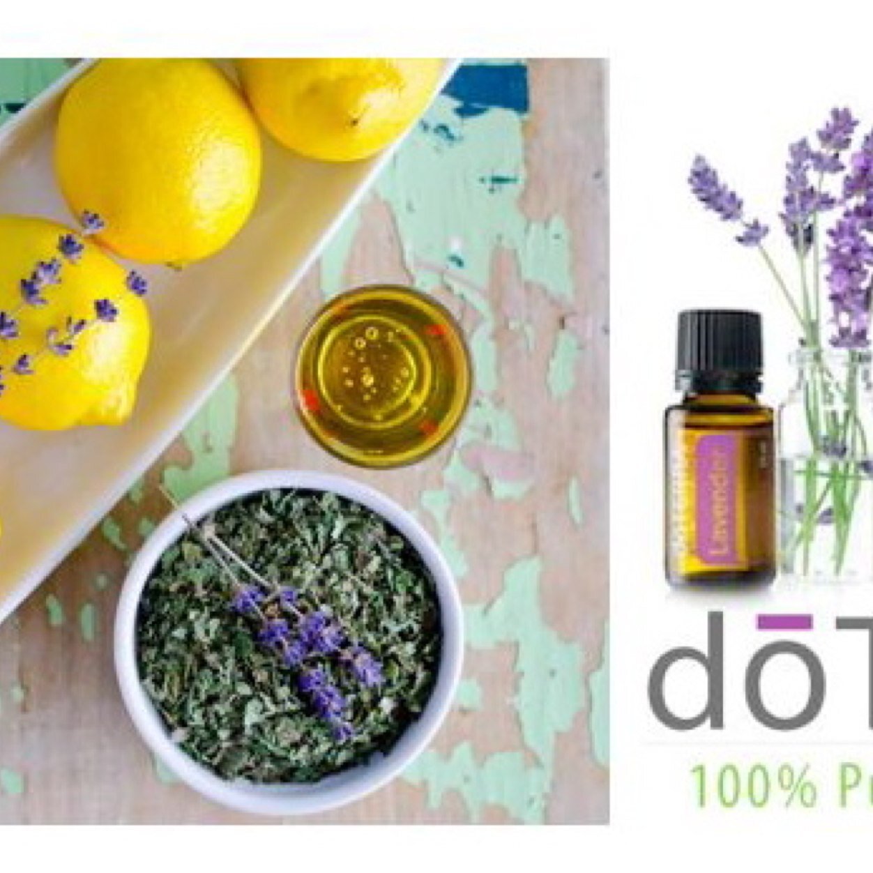 educating on natural forms of healthcare. mentoring those that wish do the same. #momtrepreneur #workfromhome #liftandliberate #helpothers #healingoils #doterra