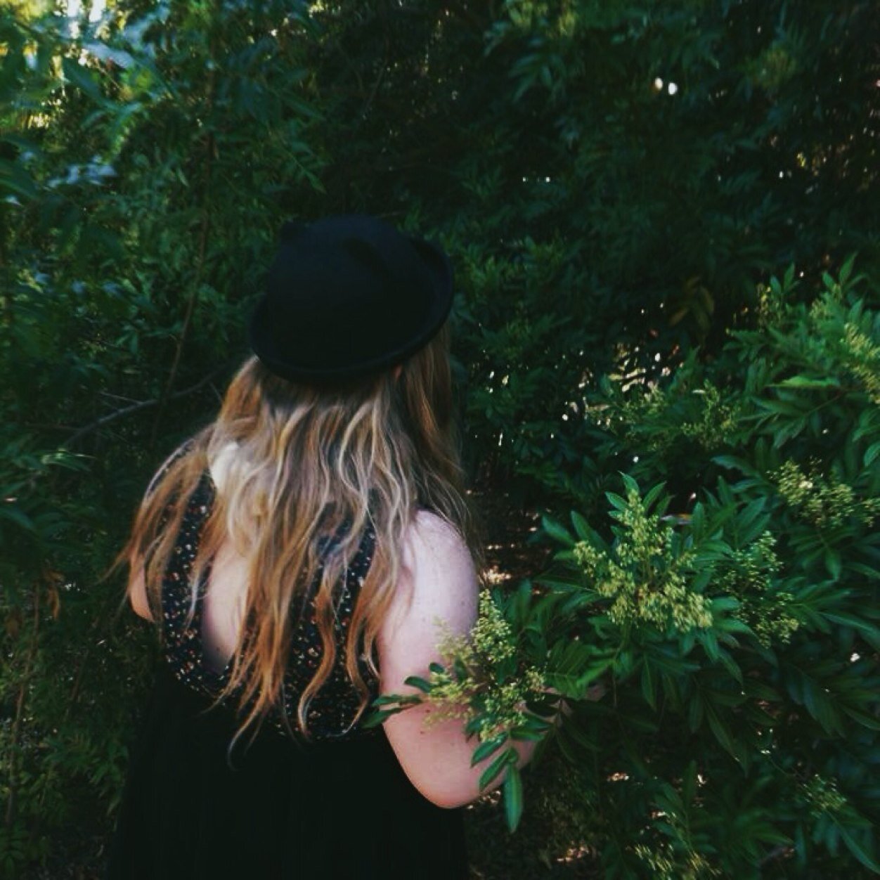 hatesful's profile picture. shall I write it in a letter? shall I try to get it down? oh, you fill my head with pieces of a song I can't get out.