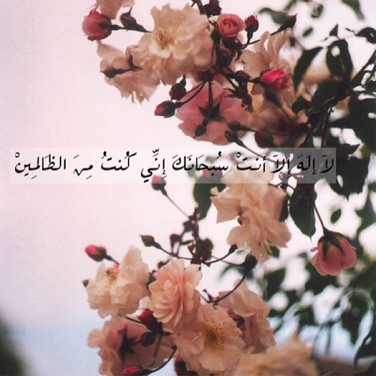 رَبِّ لَا تَذَرْنِي فَرْداً وَأَنتَ خَيْرُ الْوَارِثِينَ