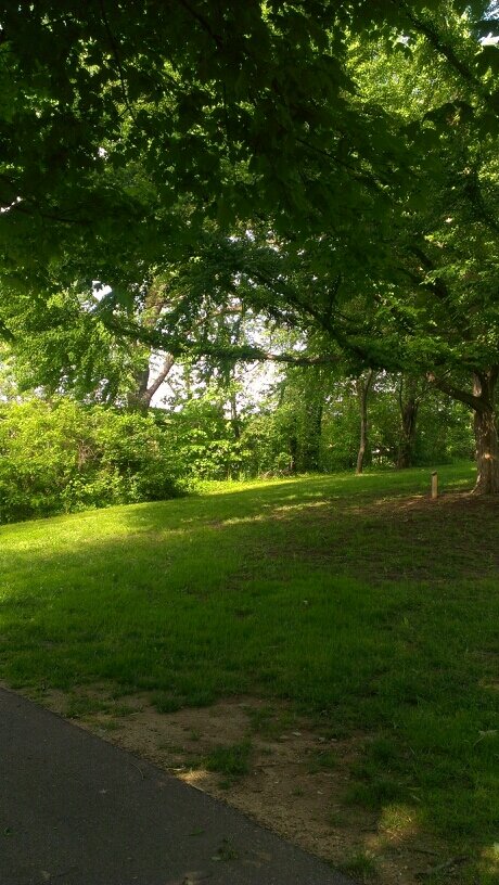 ekal26's profile picture. 