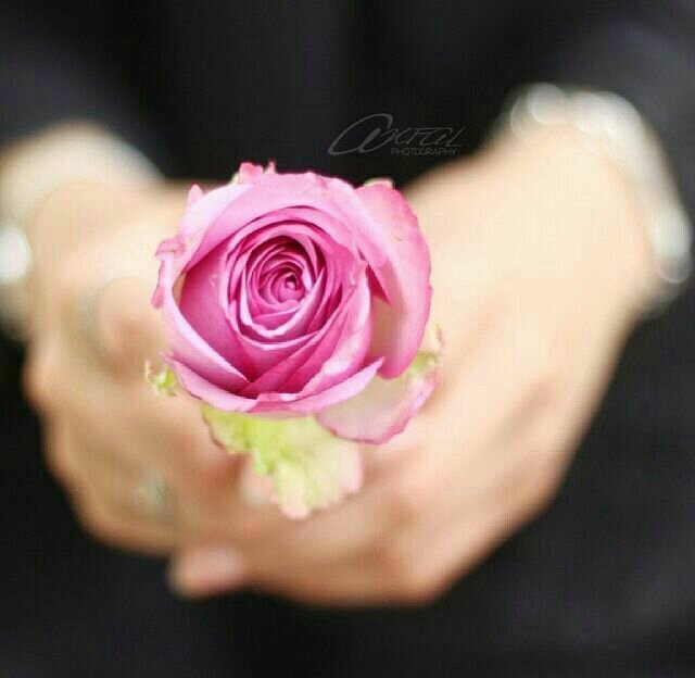رُبَ همة أحيت أُمة