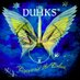 The Duhks (@theduhks) Twitter profile photo