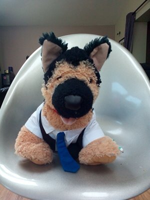 DecoKeane's profile picture. Aviation Buff, Special Olympics Volunteer. All views are my own