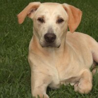 Robin (@coffeeforu2) 's Twitter Profile