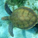 Karis Mann_ - @kasey_mann - Twitter