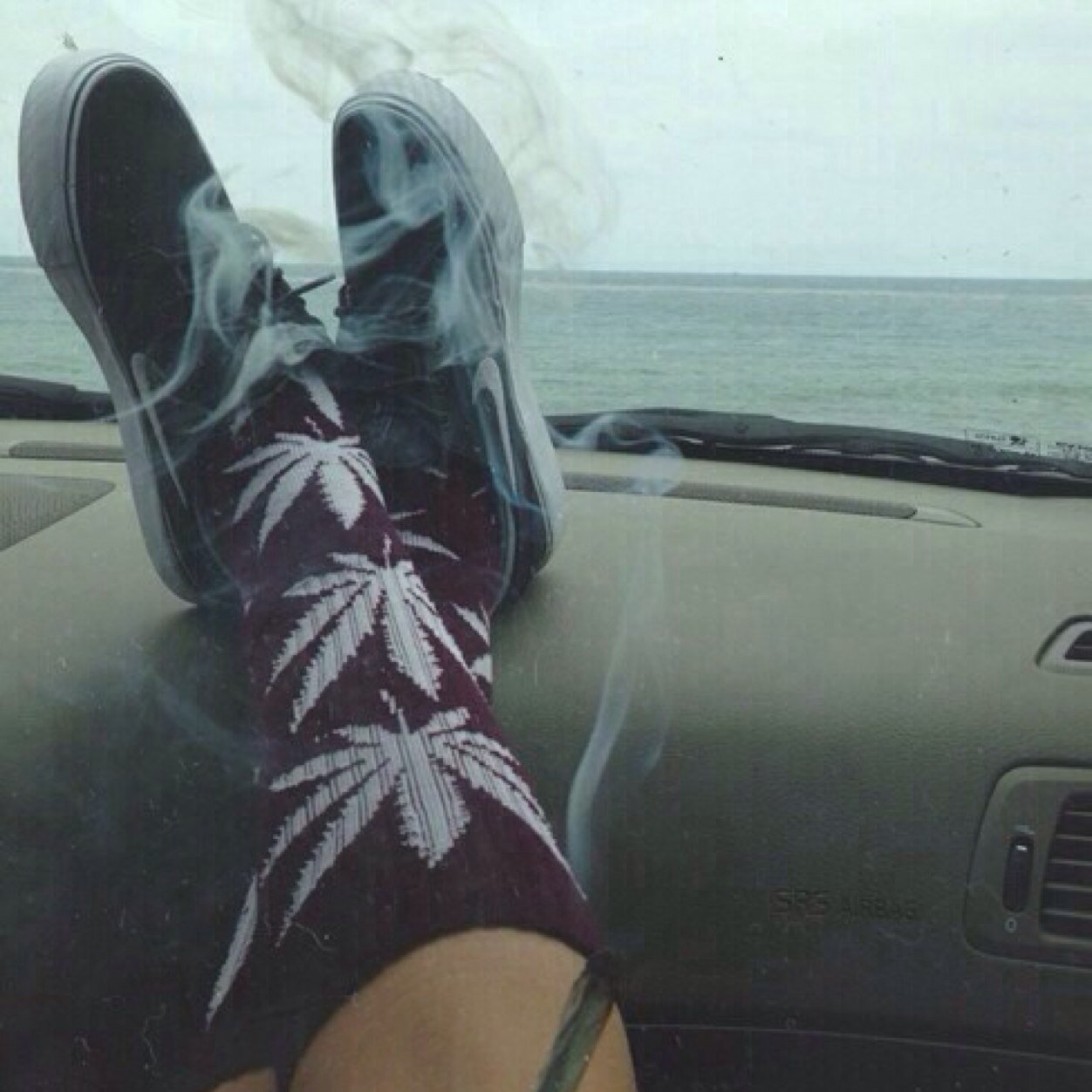 y0ungpeacer's profile picture. it's life