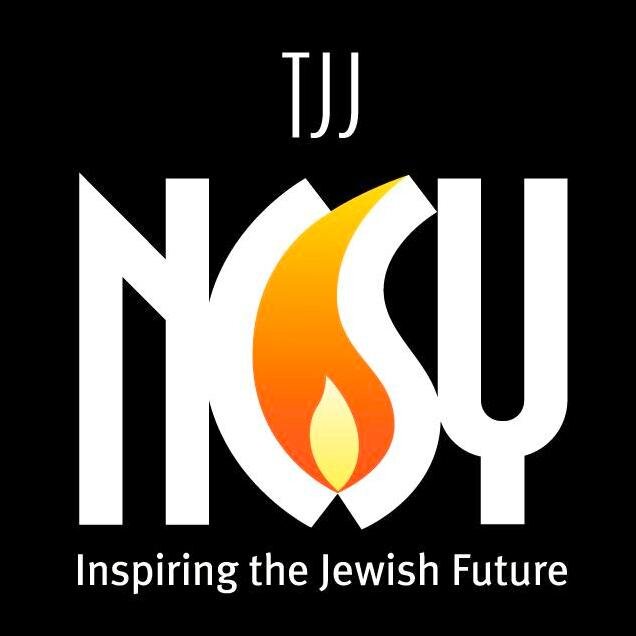 The Jerusalem Journey (TJJ) is the most affordable and greatest Israel trip for Jewish public school students.