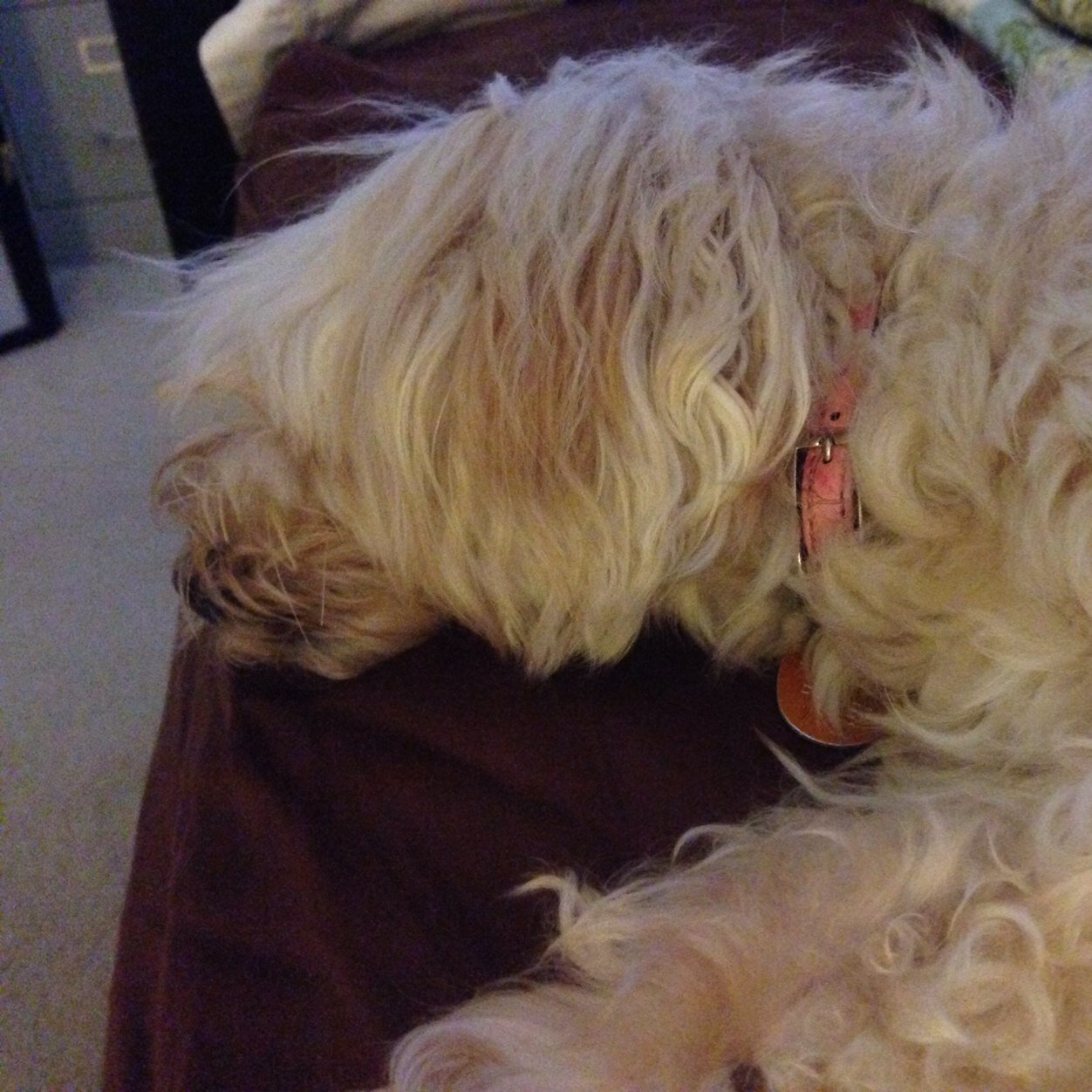 jubantigue's profile picture. 