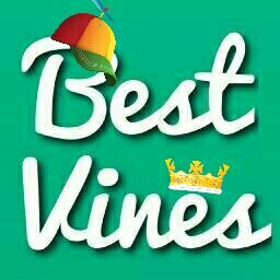 TheVinners's profile picture. 