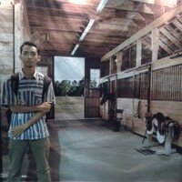 Hafid Arya P (@h_arya_p) 's Twitter Profile