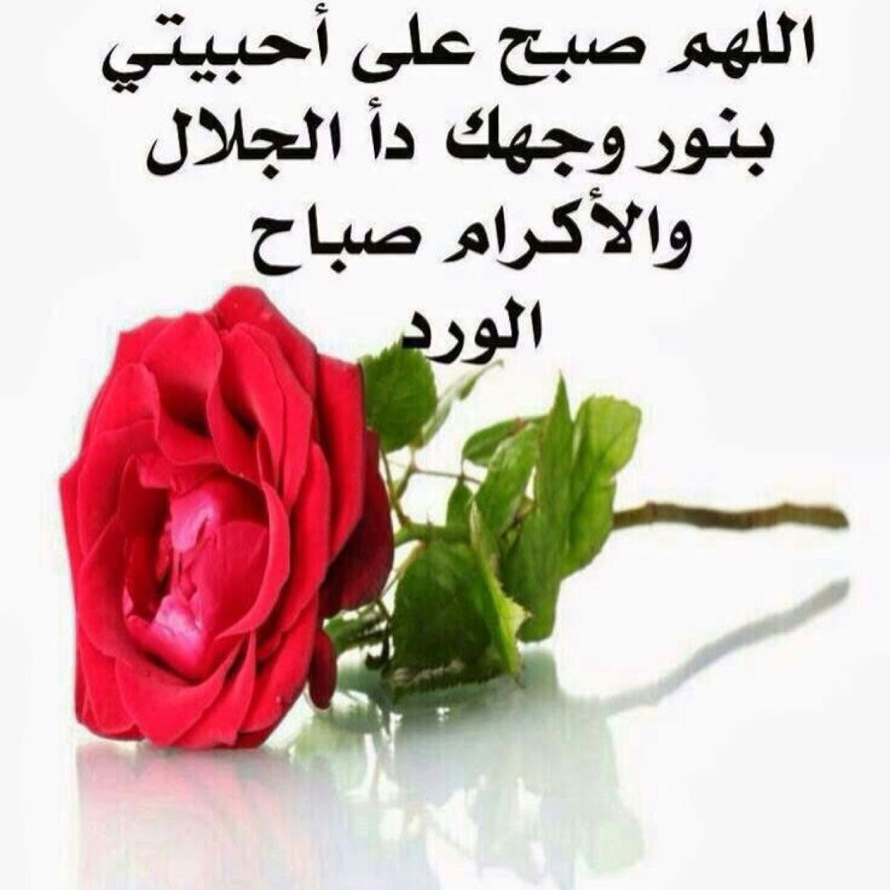 اللهم إني استودعك أموري كلها.. رزقي، توفيقي، ديني، وخاتمتي