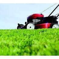Delivering high-quality cut lawns at low prices